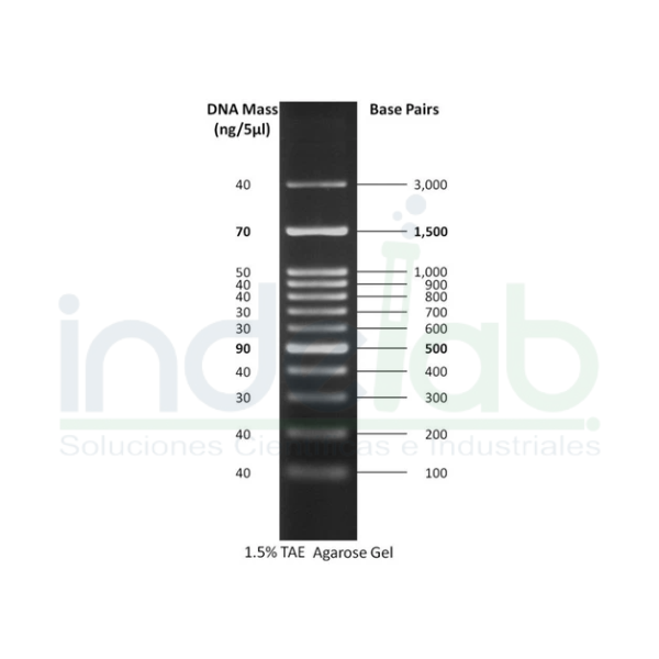 Marcador de ADN de 100 bp de 500 ul / Goldbio - D003 - Imagen 2